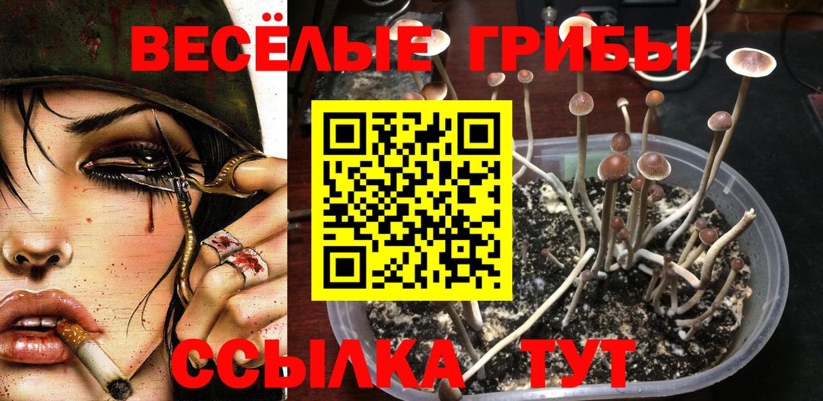 Галлюциногенные грибы Psilocybine cubensis  как найти закладки  Вход с VPN  Соликамск  Галлюциногенные грибы MAGIC MUSHROOMS 