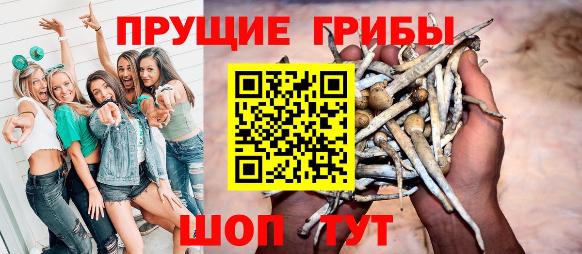 Псилоцибиновые грибы мицелий Соликамск